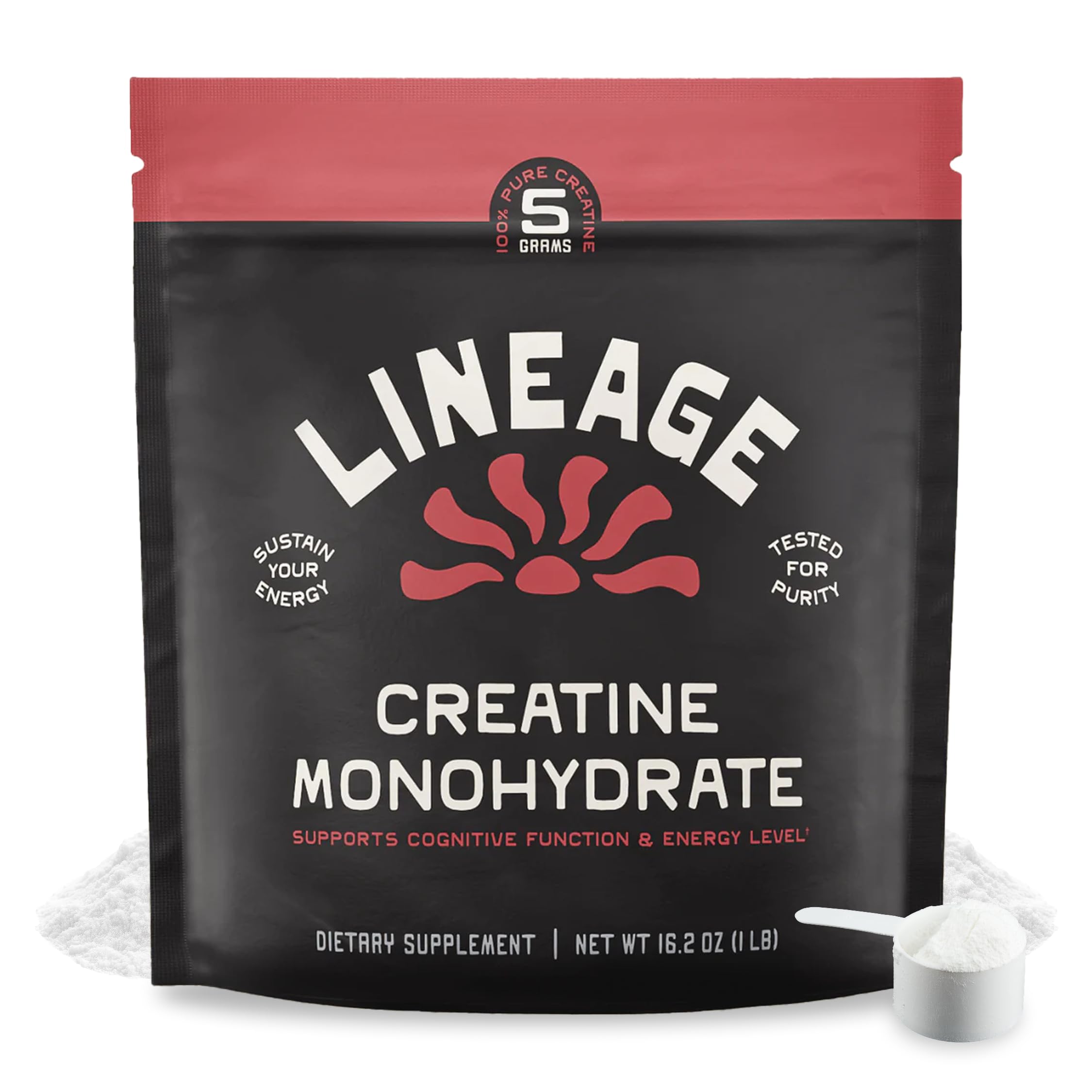Lineage Provisions creatine jar showing micronized powder for smooth mixing.