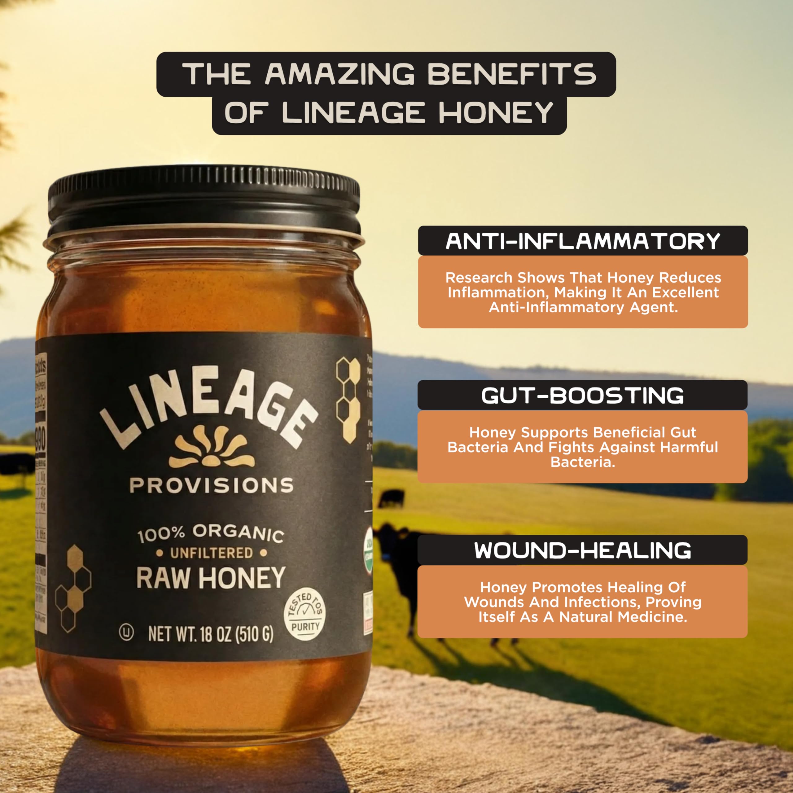 Lineage Provisions hand-harvested honey capturing wild floral notes and texture.