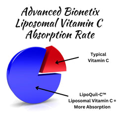 LipoQuil-C advanced liposomal technology visualizes improved delivery for better vitamin C reach