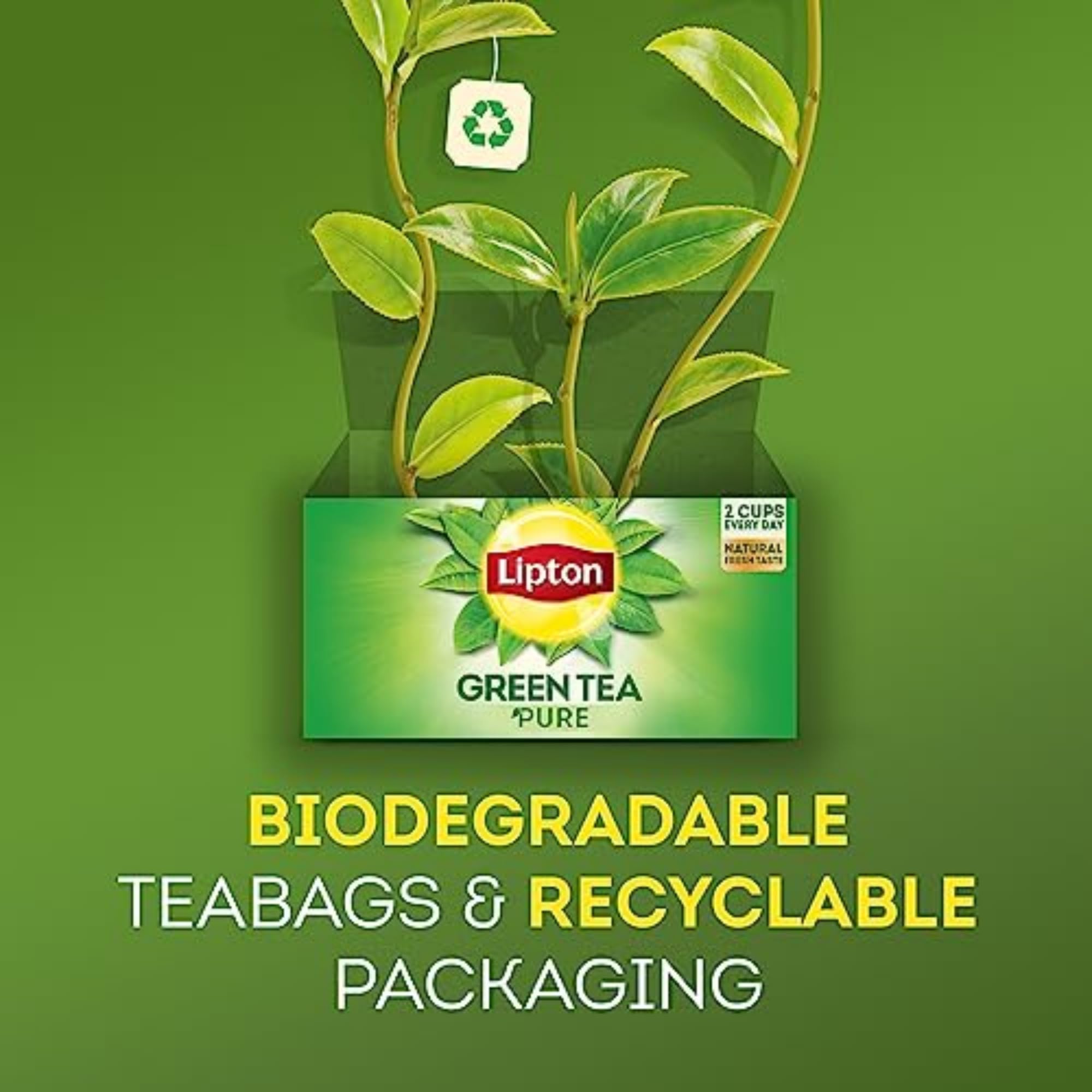 Pouring water over Lipton Peach Green Tea Bags during infusion.