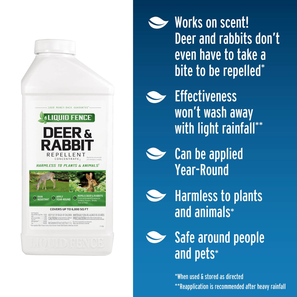 Liquid Fence repellent spray on shrubs deters pest visits during the season