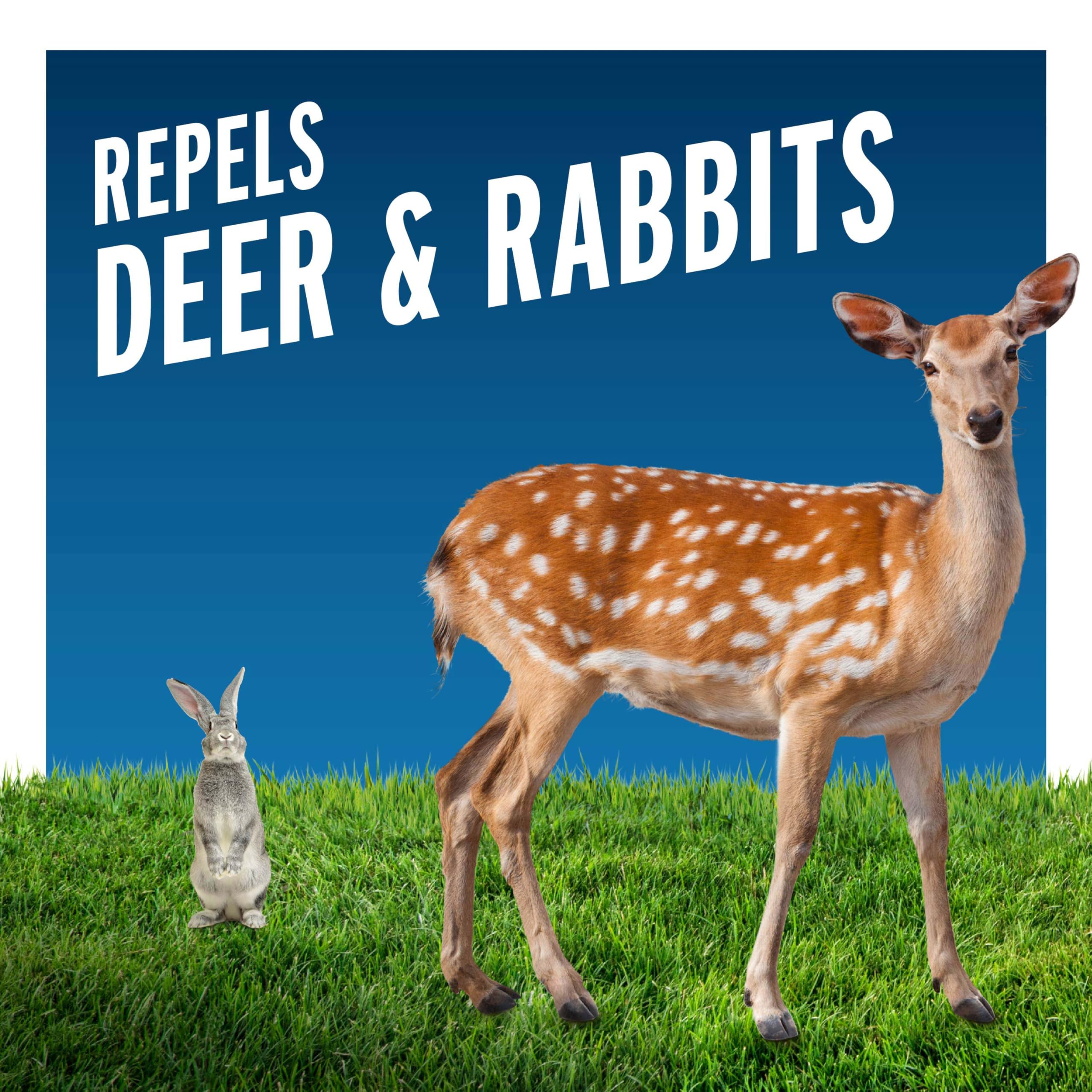 Liquid Fence Deer & Rabbit Repellent Granular protecting low-growing vegetation in a flower bed.