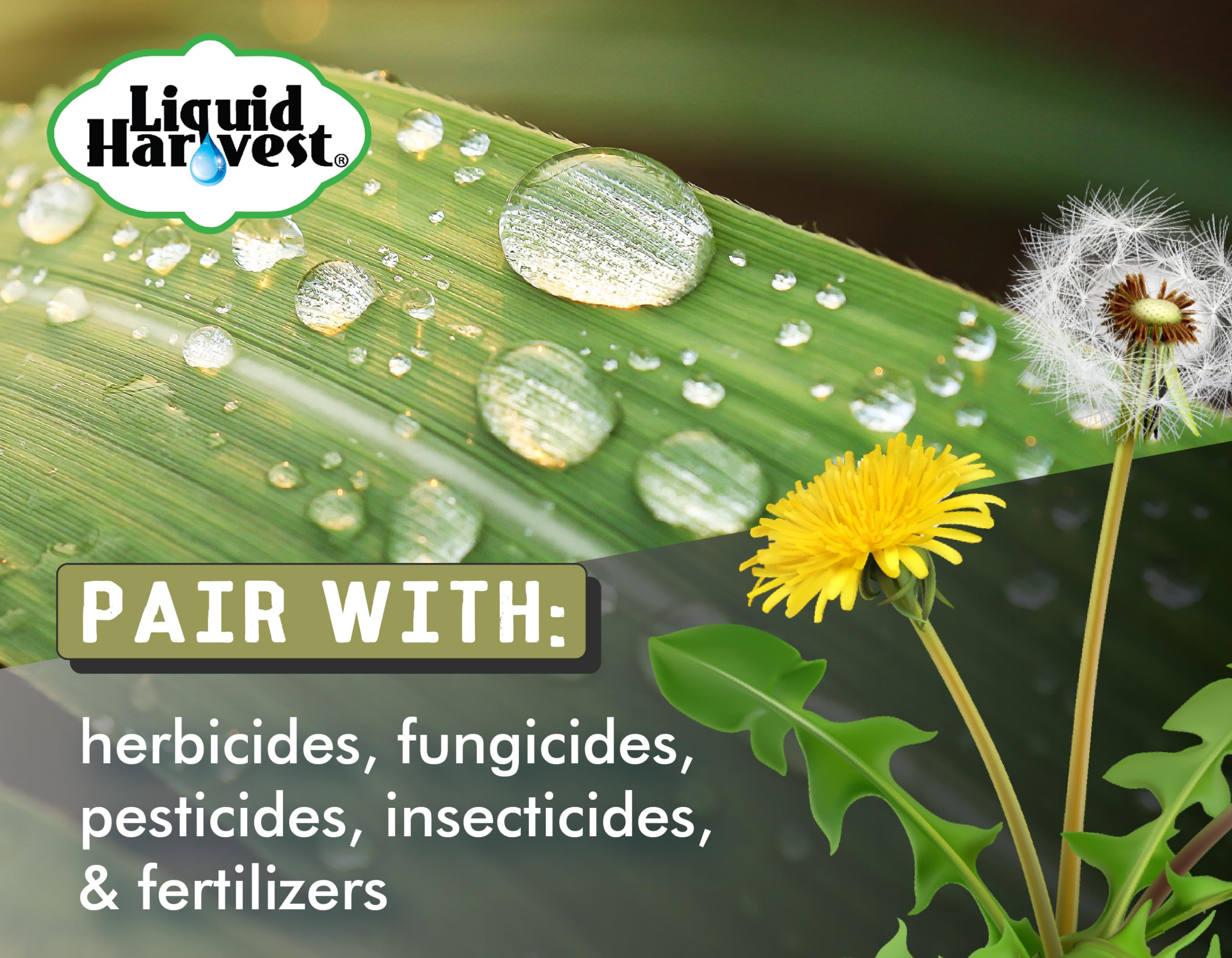 Liquid Harvest on leaf surface demonstrating improved coverage and uniform wetting
