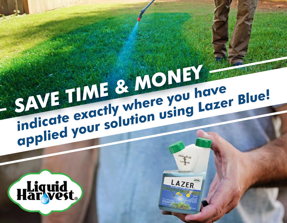 Liquid Harvest Lazer Blue marks turf for clear treatment boundaries during spraying.