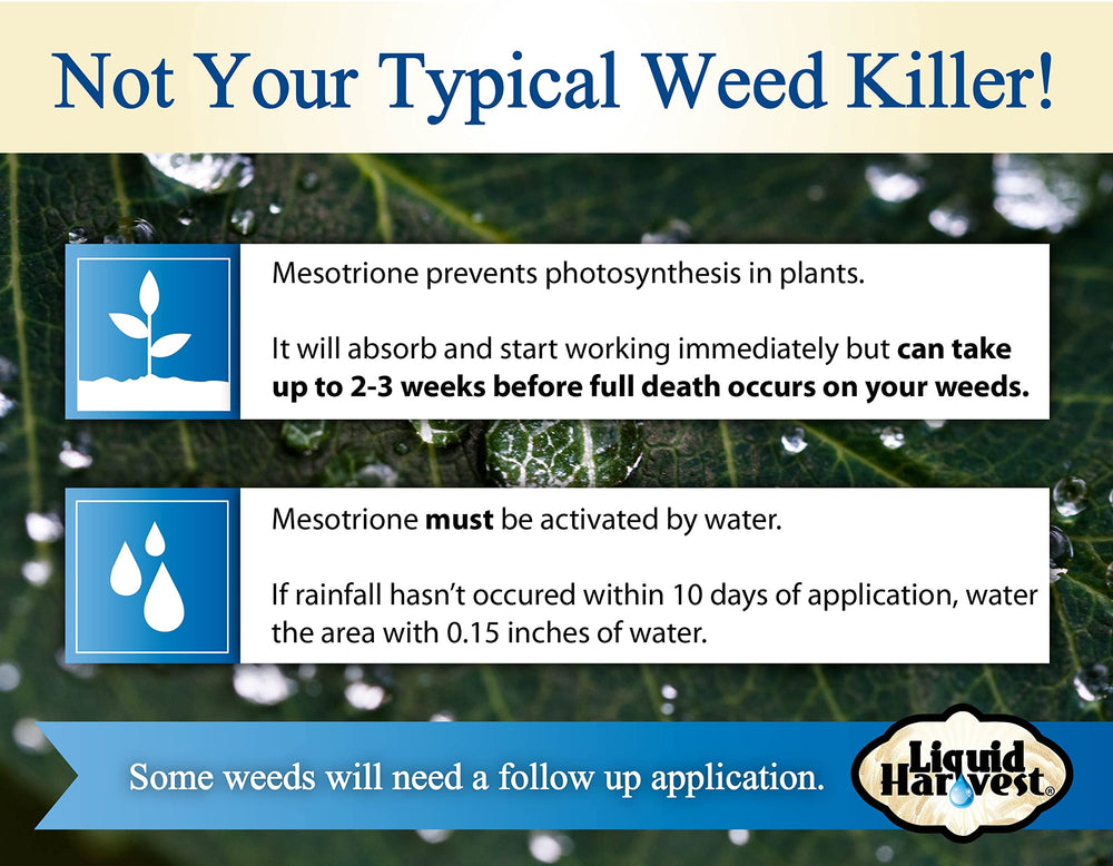 Liquid Harvest Mesotrione prevents crabgrass seed germination and broadleaf weed control.