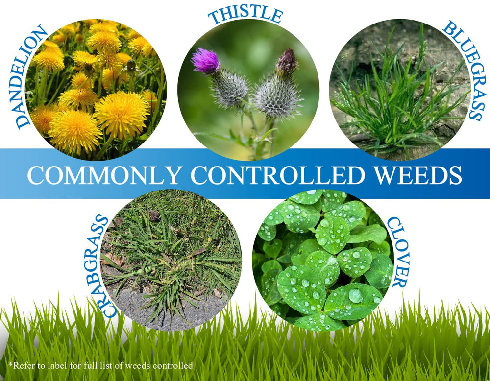 Liquid Harvest Mesotrione inhibits photosynthesis in susceptible weeds.