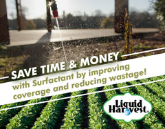 Liquid Harvest surfactant spreading across leaf for improved coverage