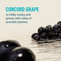 Liquid I.V. Concord Grape powder being poured into water for quick hydration