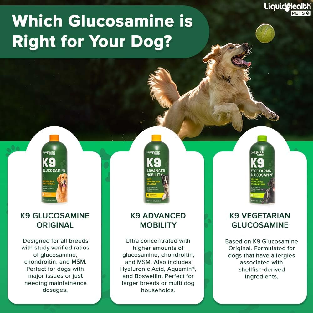 LiquidHealth K9 USA made facility seal suggesting trusted manufacturing standards