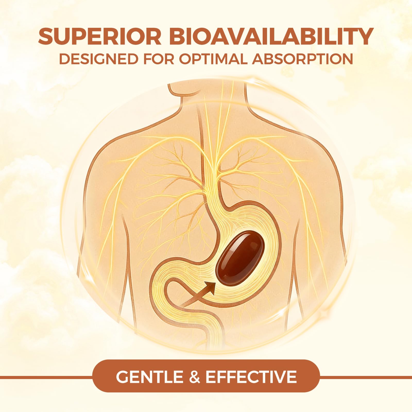 LIRAE Cinnamon SoftGels ingredients showcase MCT oil infusion for better nutrient use.