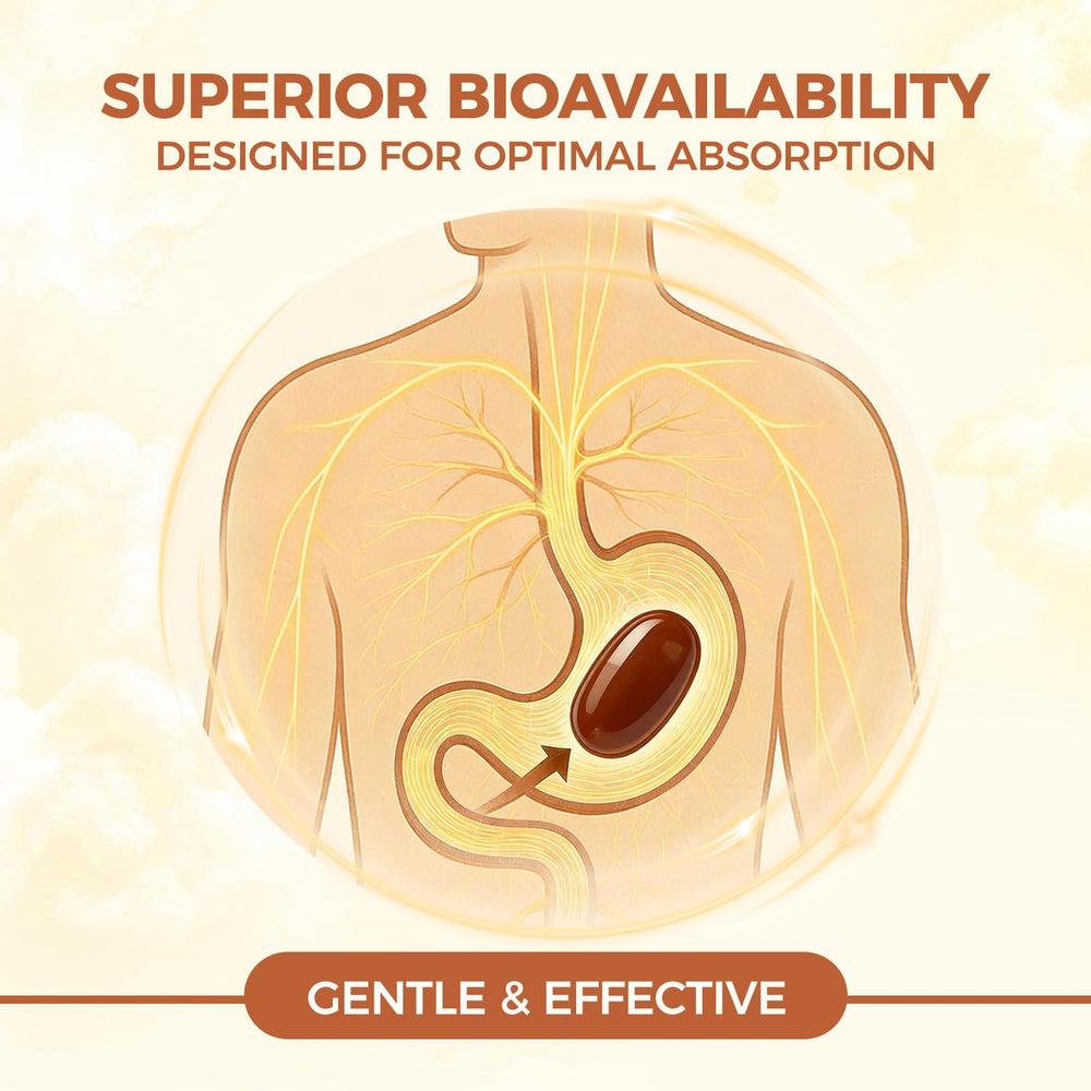 LIRAE Cinnamon SoftGels ingredients showcase MCT oil infusion for better nutrient use.