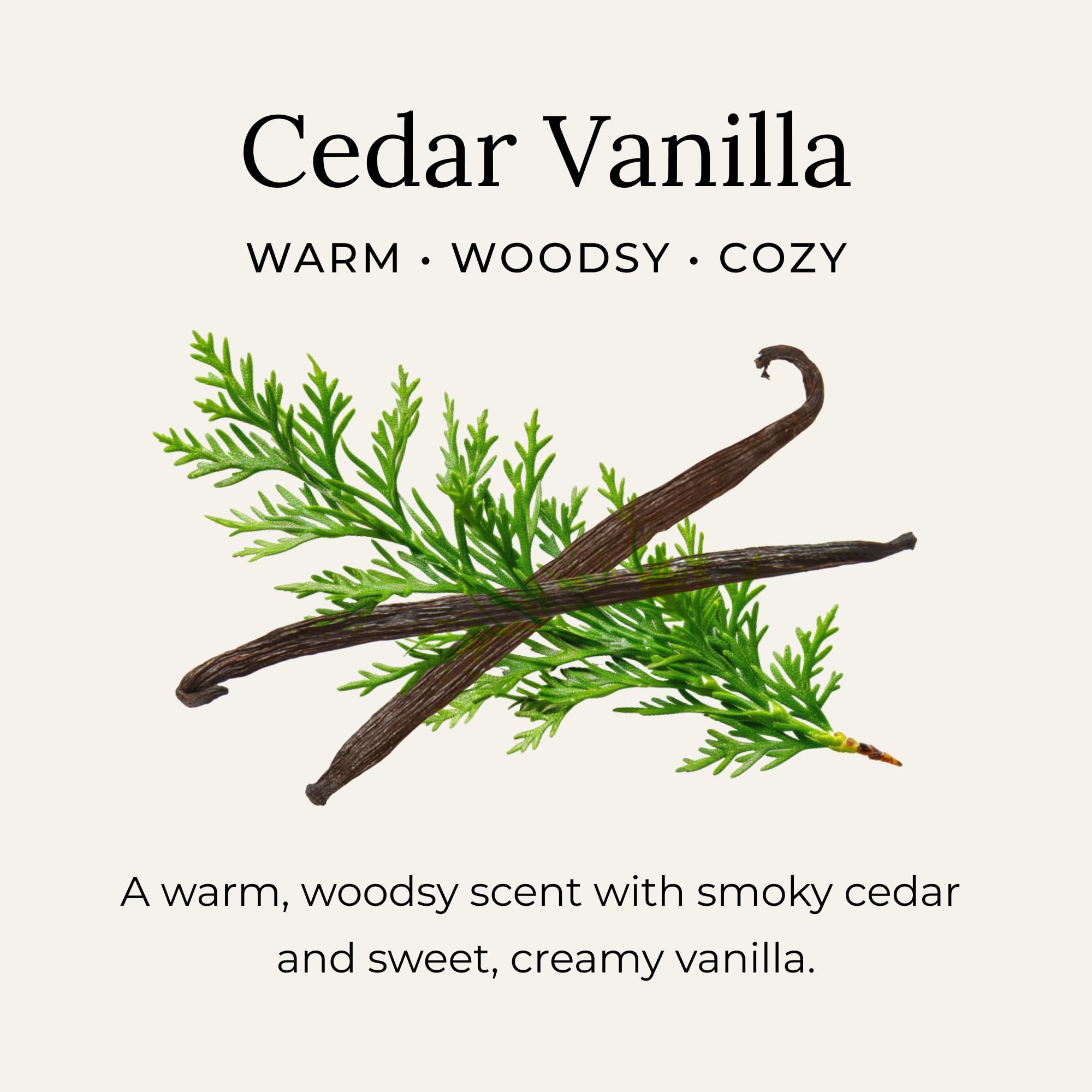 Free wooden scoop included with every jar for clean measuring.