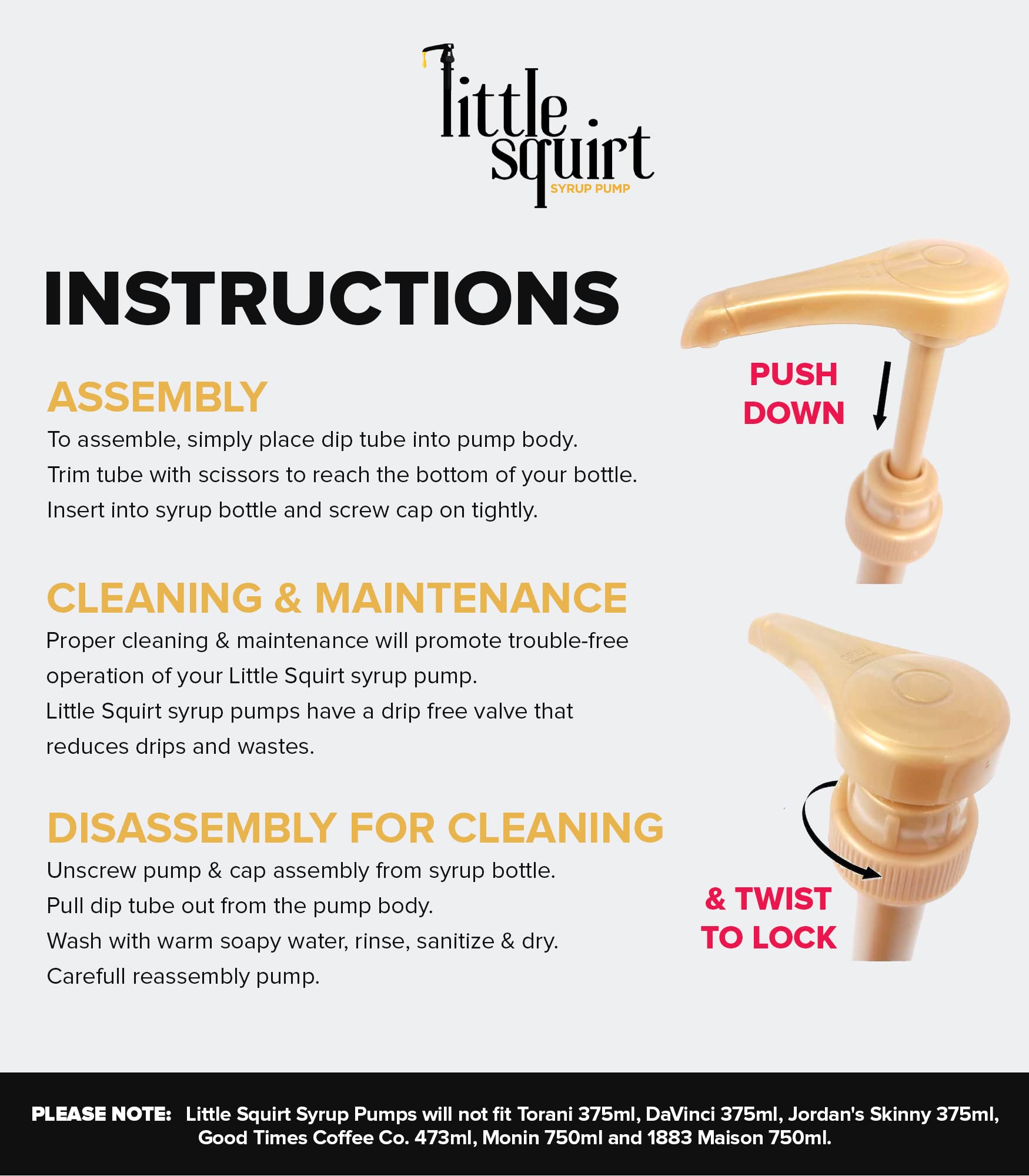 Little Squirt portion-control pump delivers consistent pours for cafe-quality flavors.