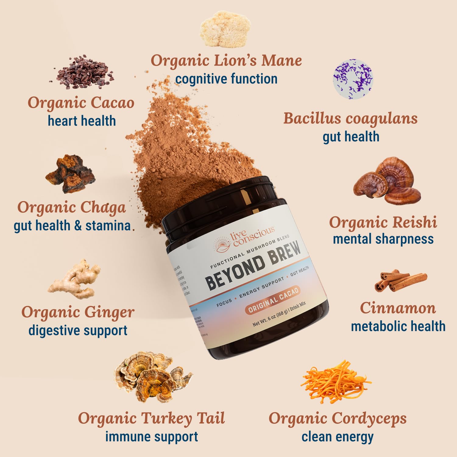 Live Conscious Beyond Brew turkey-tail support for oxidative stress management.