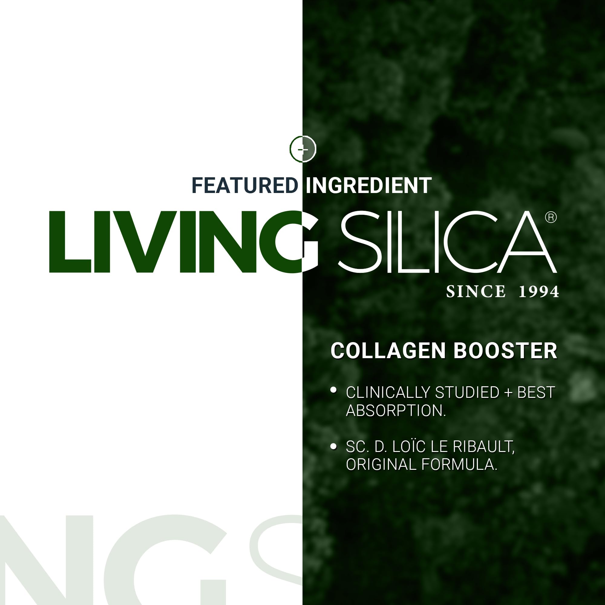Living Silica nutrition panel notes gluten-free and GMO-free attributes.