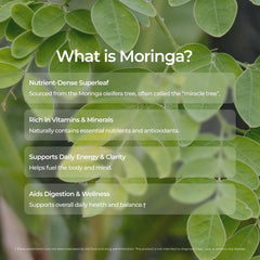 Close-up of Livingood Daily Coffee with Moringa packaging, vegan and gluten-free label visible.