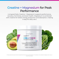 Scoop of Livingood Daily Creatine + Magnesium powder ready to mix