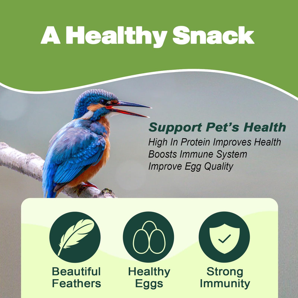 LIWII dried mealworms for chickens—plump, protein-rich snack.