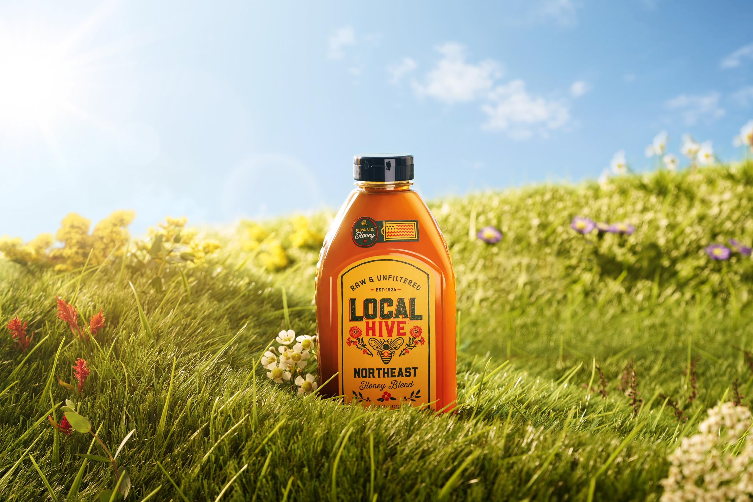 Local Hive Northeast honey drizzle over toast for natural sweetness.