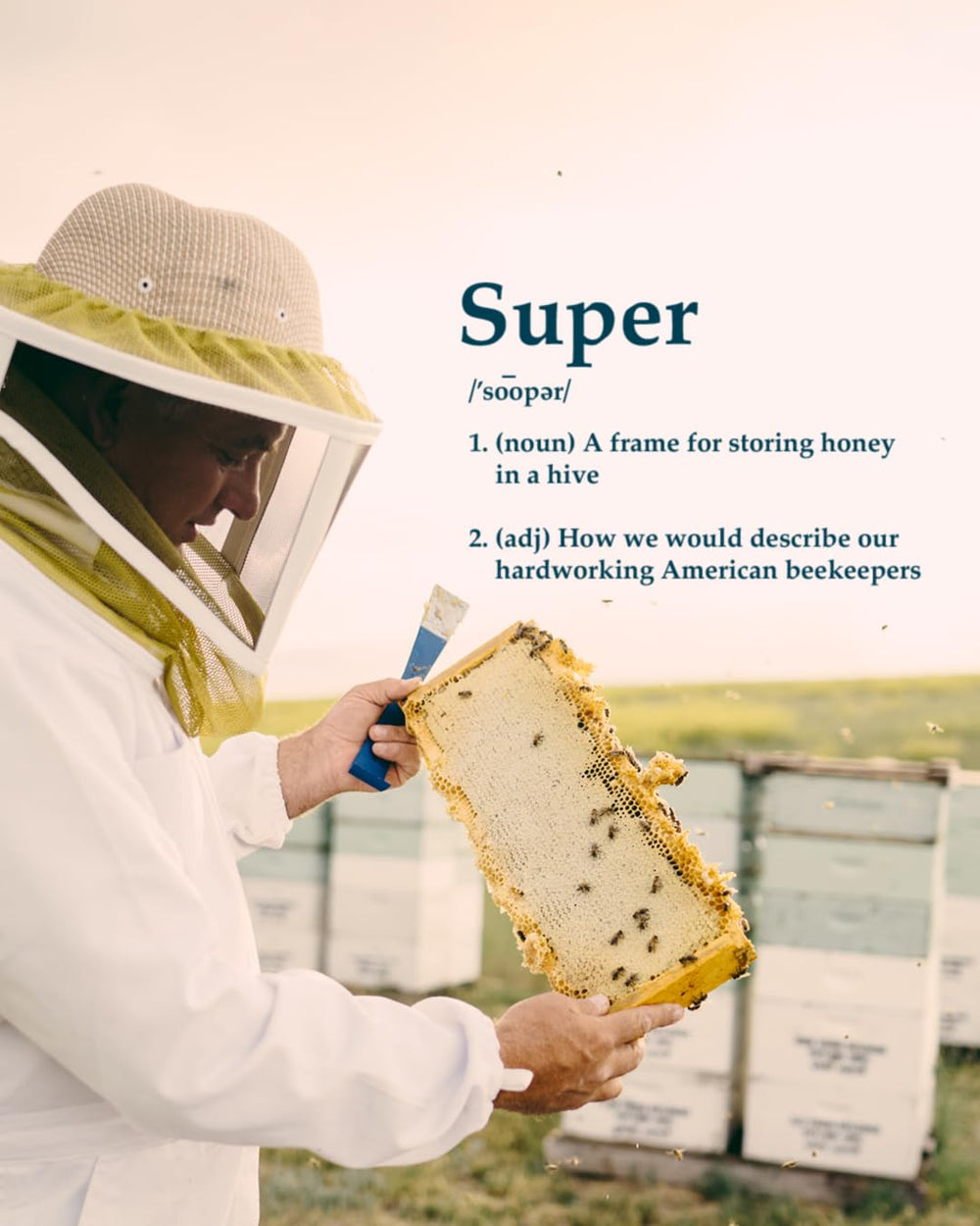 Local Hive Orange Blossom Honey and Florida orange blossoms visual
