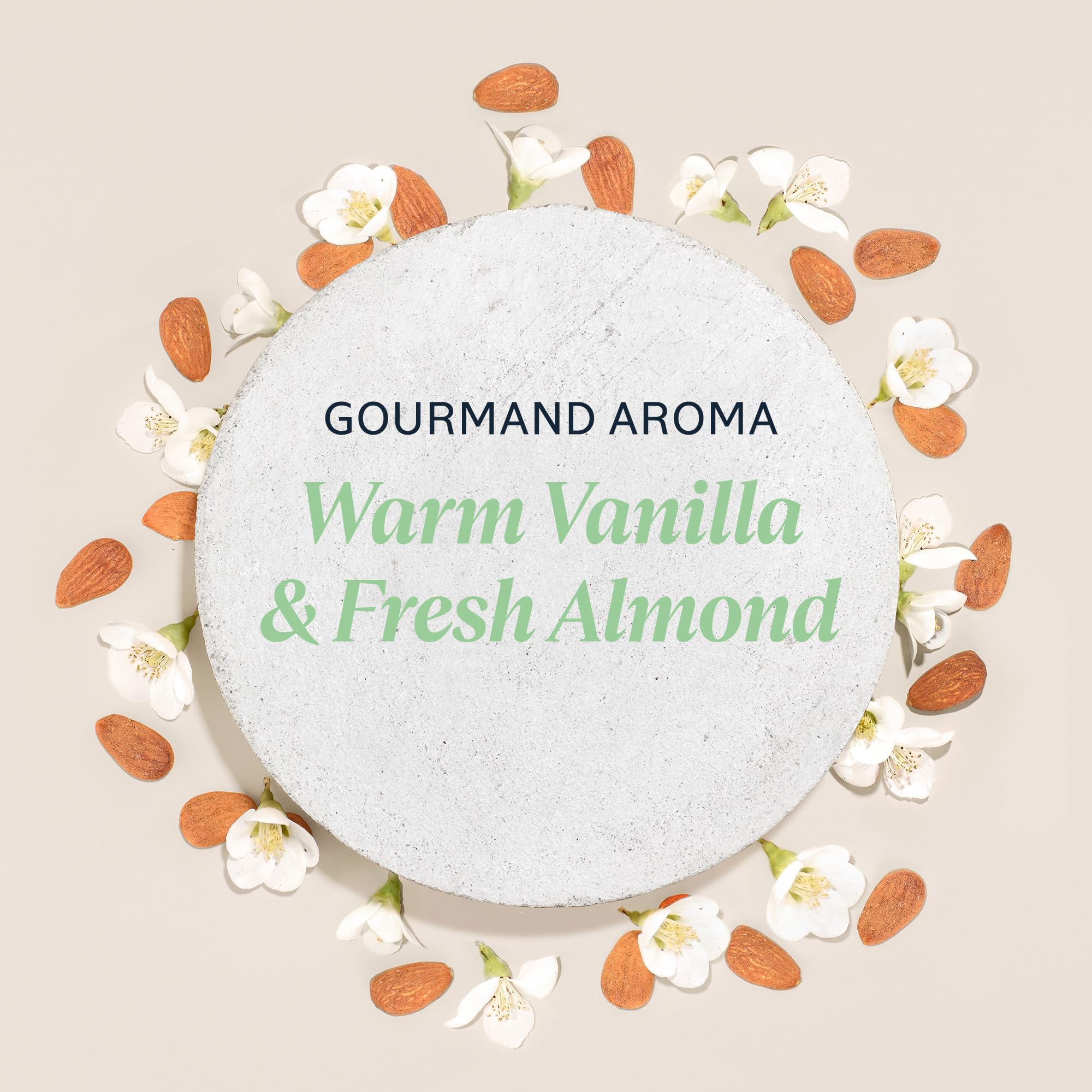 L'OCCITANE Almond Favorites hand cream tube, quick-absorbing hydration for busy days.