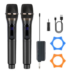 Loewieta wireless karaoke microphone in action during a lively home session.