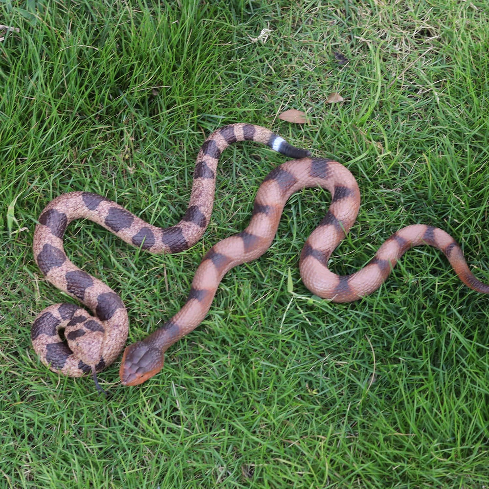 Lohoee realistic snake toy suitable for classrooms.