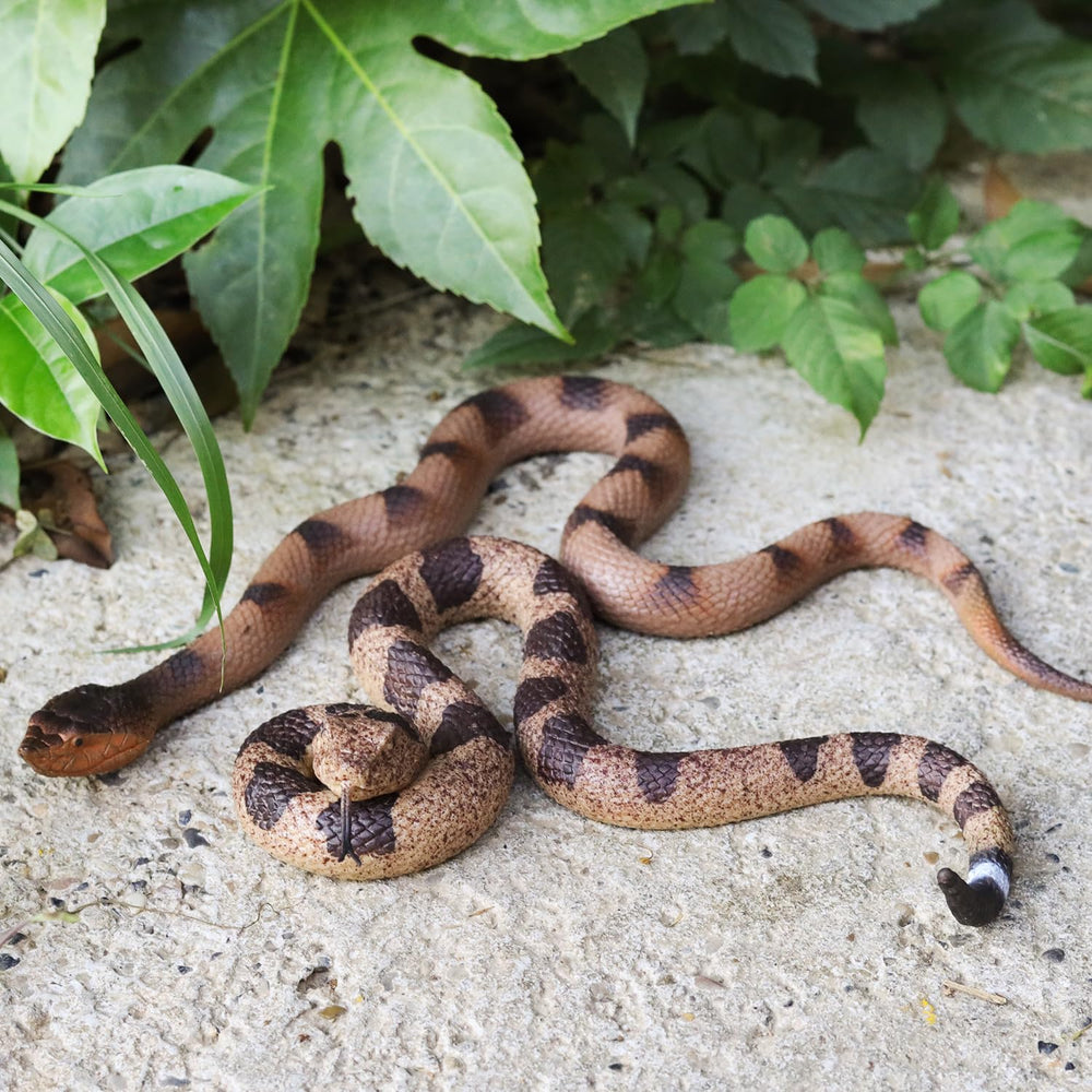 Lohoee snake toy for pranks and party decor.