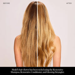 LolaVie Glossing Detangler icon highlights heat protection up to 450°F.