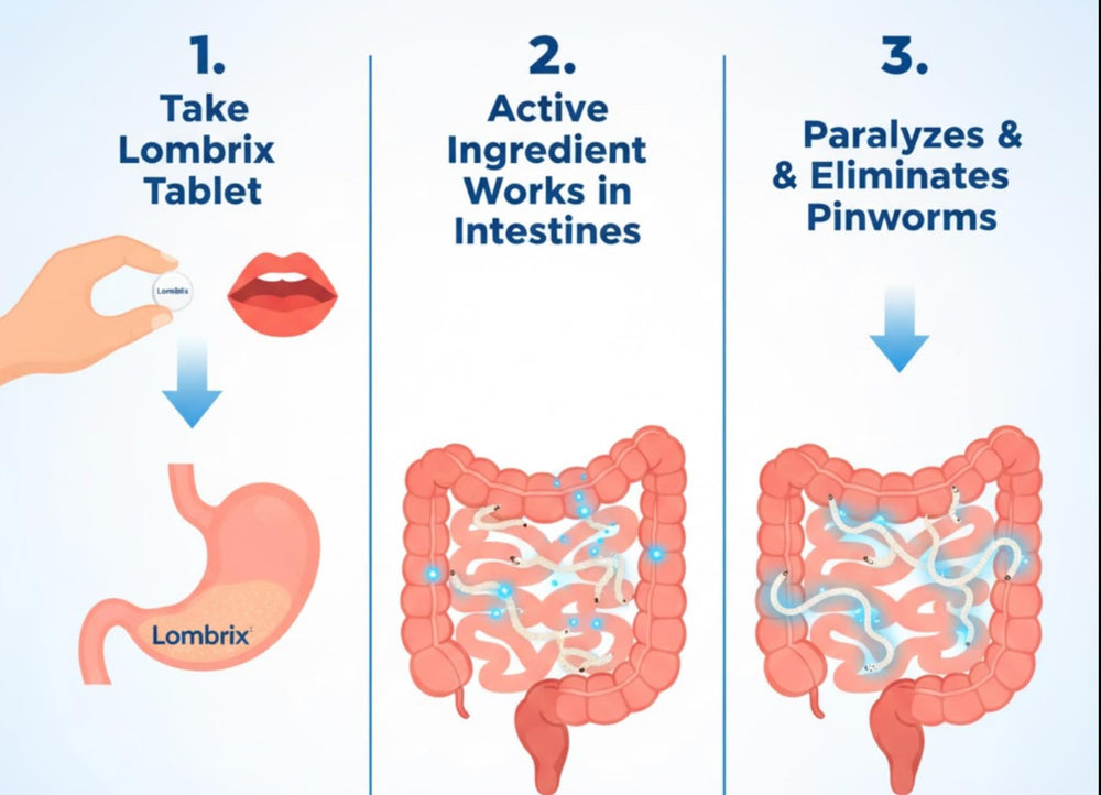 Lombrix travel-size pack, on-the-go digestive support for the whole family.