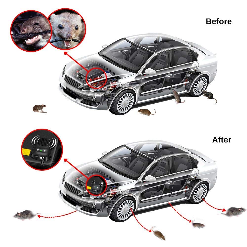 Loraffe low-voltage protection guards the battery from excessive drain.