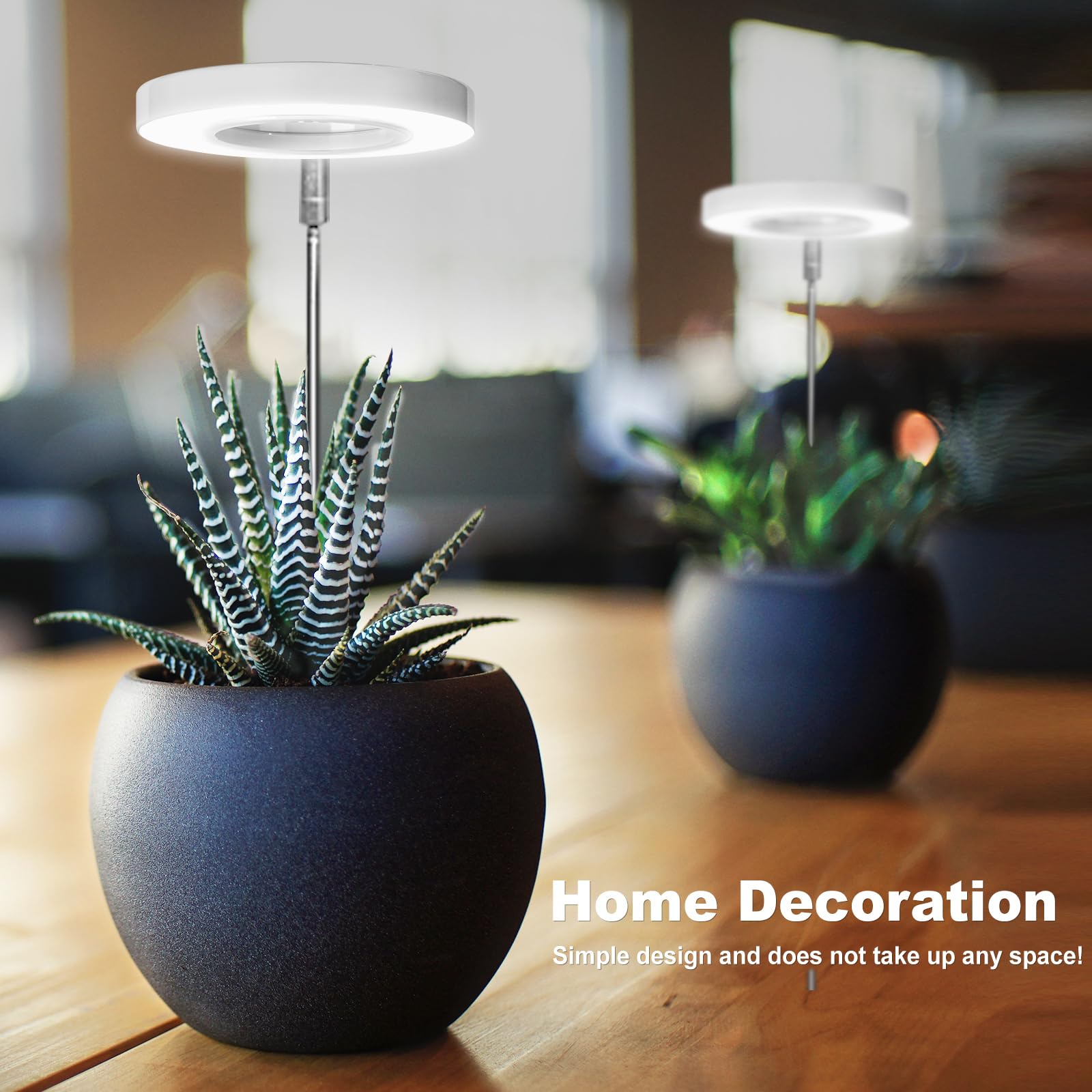 LORDEM grow light auto timer demonstrates convenient daily care.