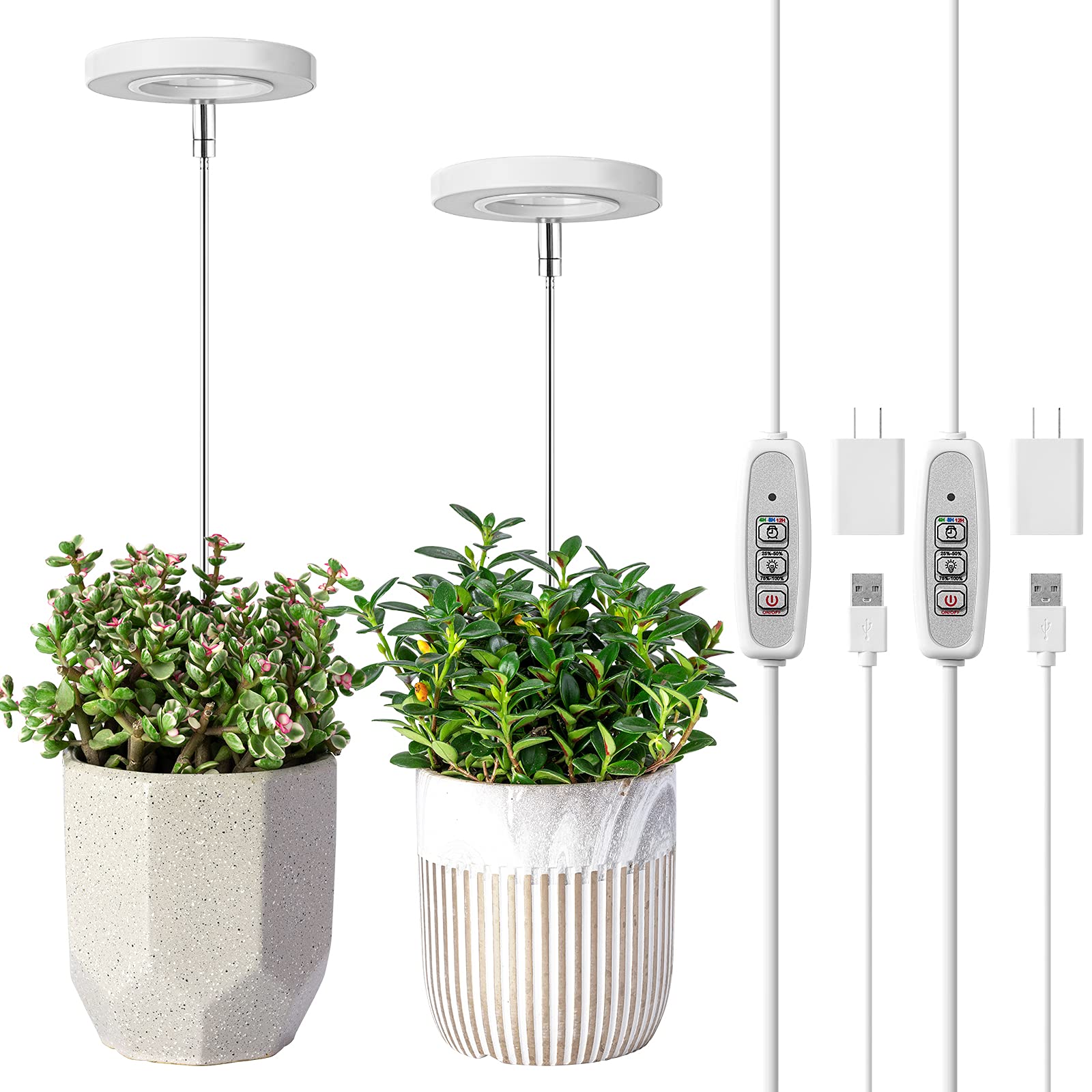 LORDEM grow light full-spectrum panel boosts indoor plant growth.
