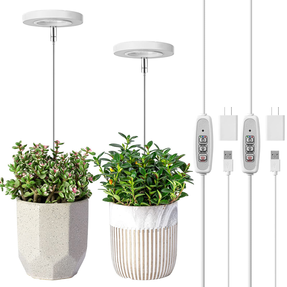 LORDEM grow light full-spectrum panel boosts indoor plant growth.