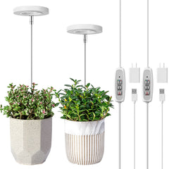 LORDEM grow light full-spectrum panel boosts indoor plant growth.
