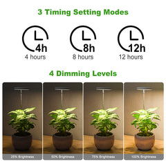 LORDEM grow light height adjustable to fit plant height.