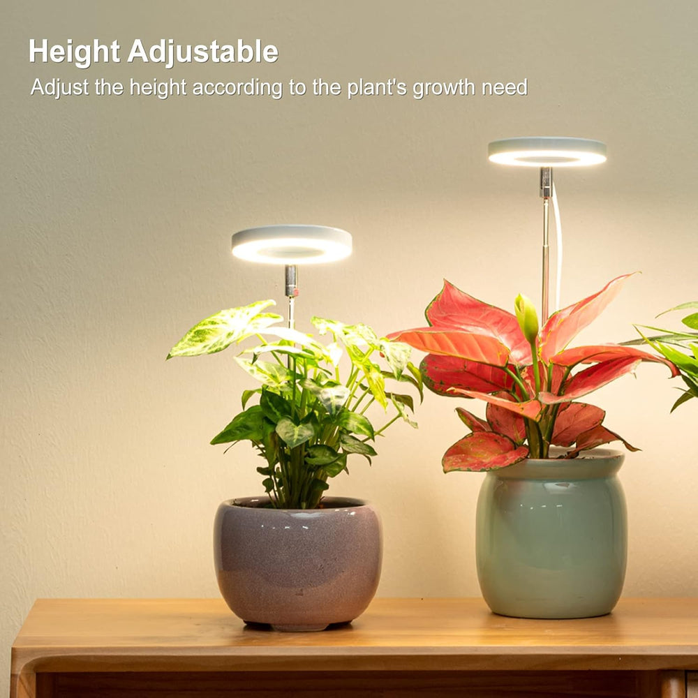 LORDEM grow light two-pack for multi-pot setups.
