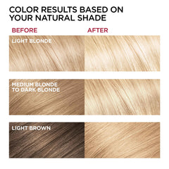 LB01 Extra Light Ash Blonde swatch showing cool ash tone
