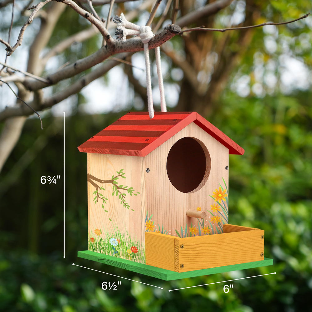 LotFancy Bird House Kit paints included to personalize your bird house.
