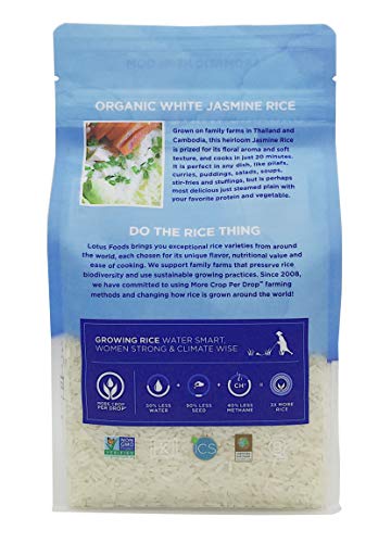 Lotus Foods Organic White Jasmine Rice raw grains ready to rinse and cook