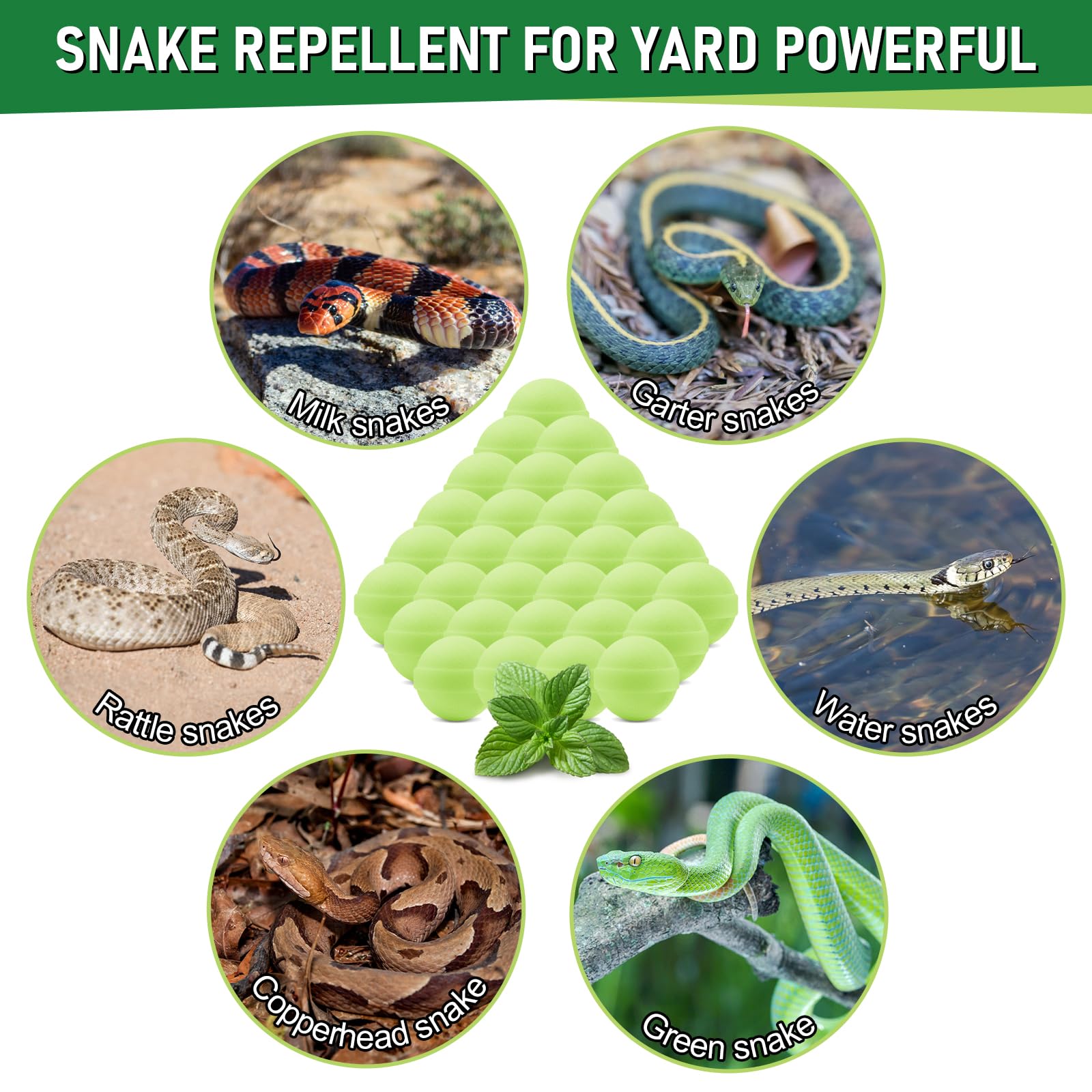 Lousye pill-based snake repellent placed for easy outdoor use.