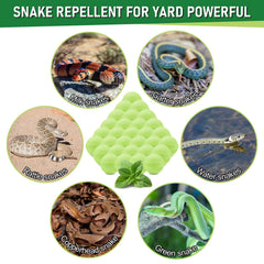 Lousye pill-based snake repellent placed for easy outdoor use.