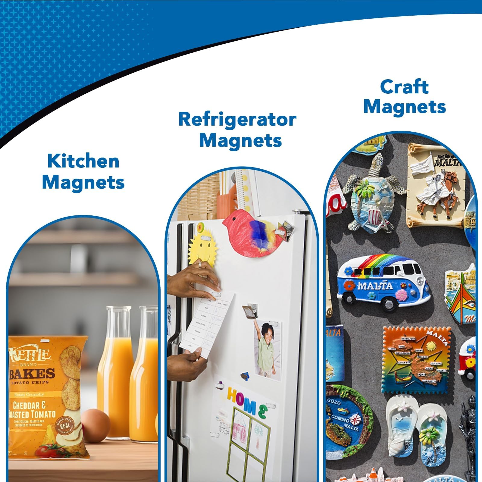 LOVIMAG magnets in science experiments capture attention with magnetic demonstrations.