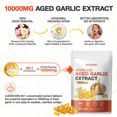 LUCKCHAN aged garlic extract capsules arranged for daily wellness use.