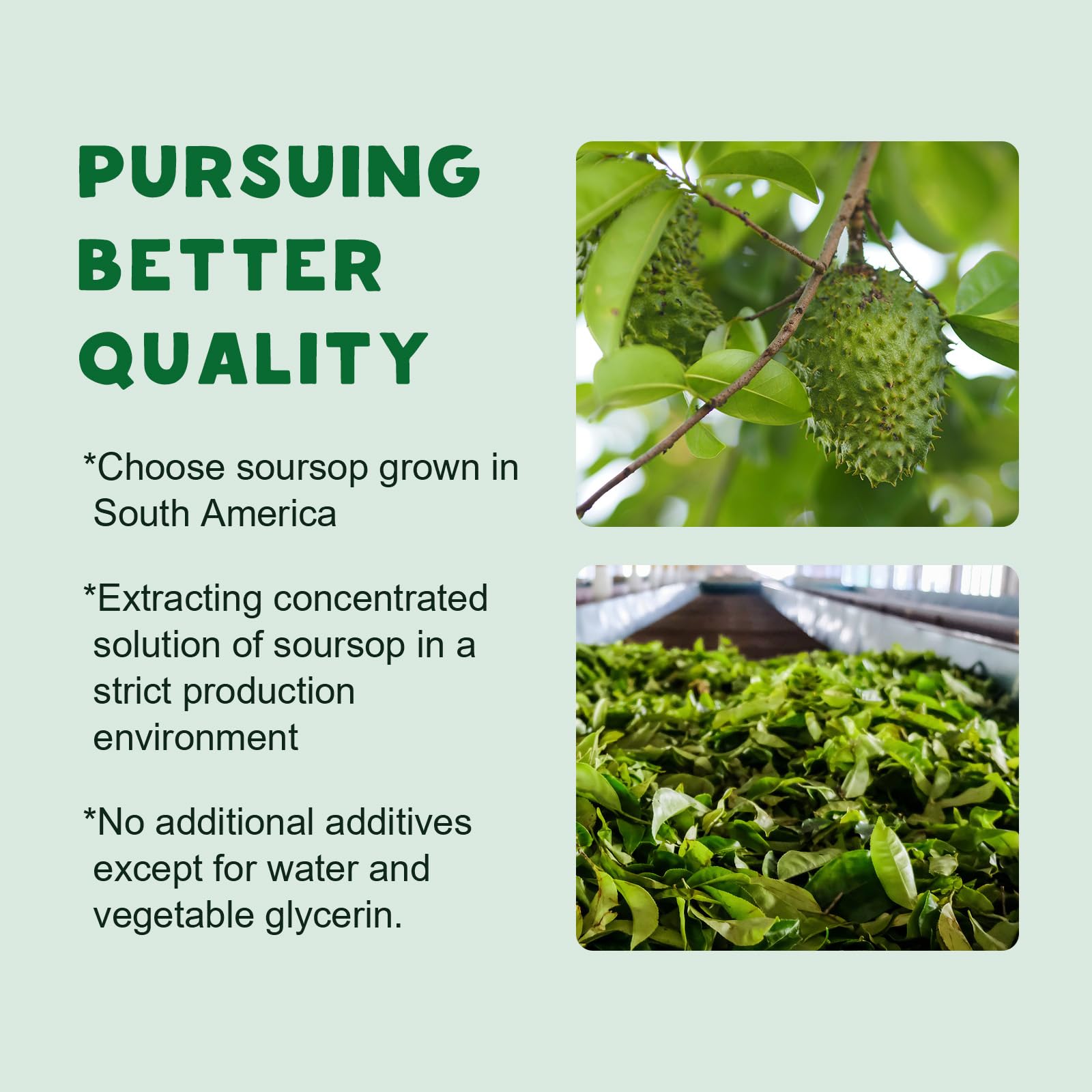LUCNVEM Soursop Liquid Drops close-up of clear extract for easy absorption