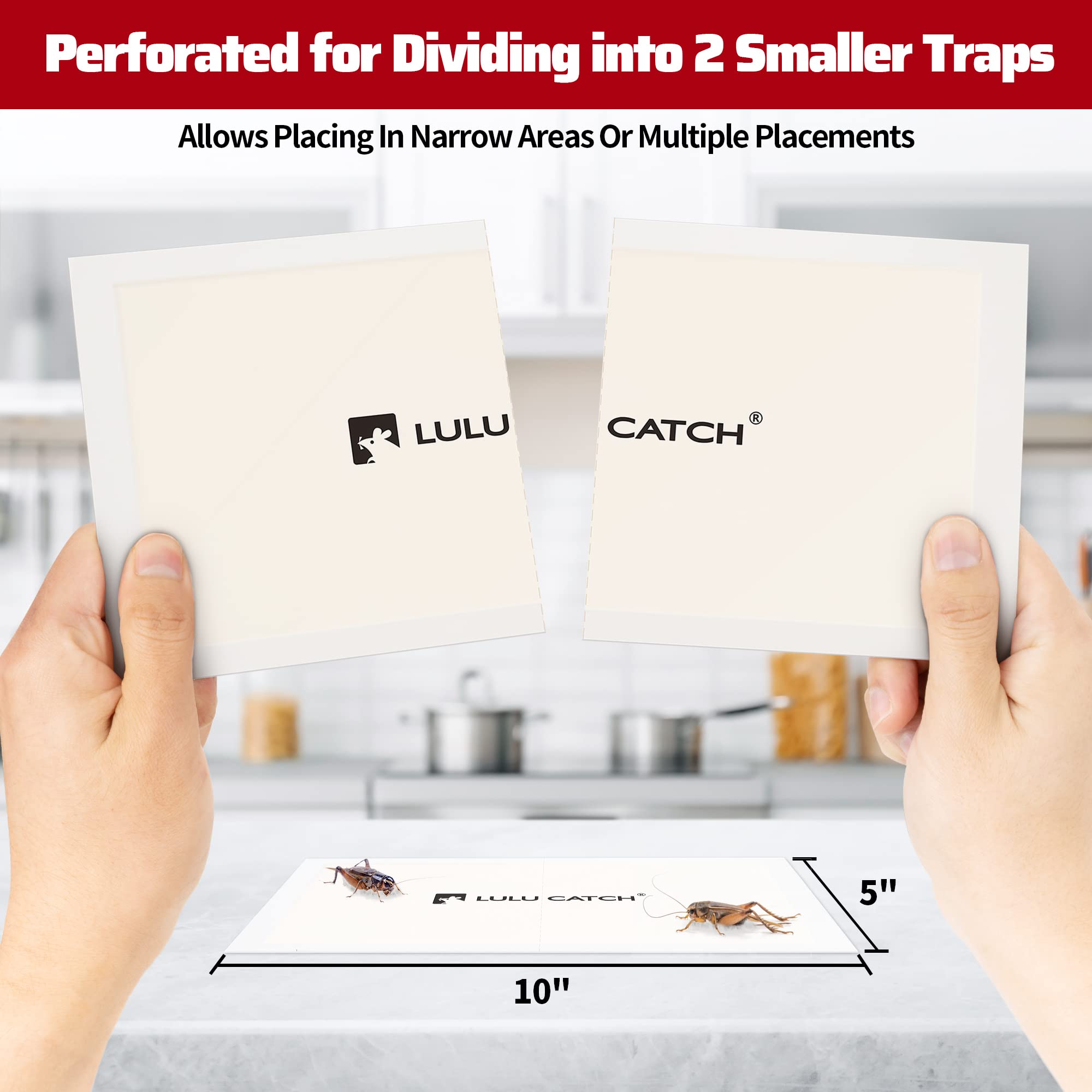 LULUCATCH glue trap closeup highlights strong adhesive for fast insect capture.