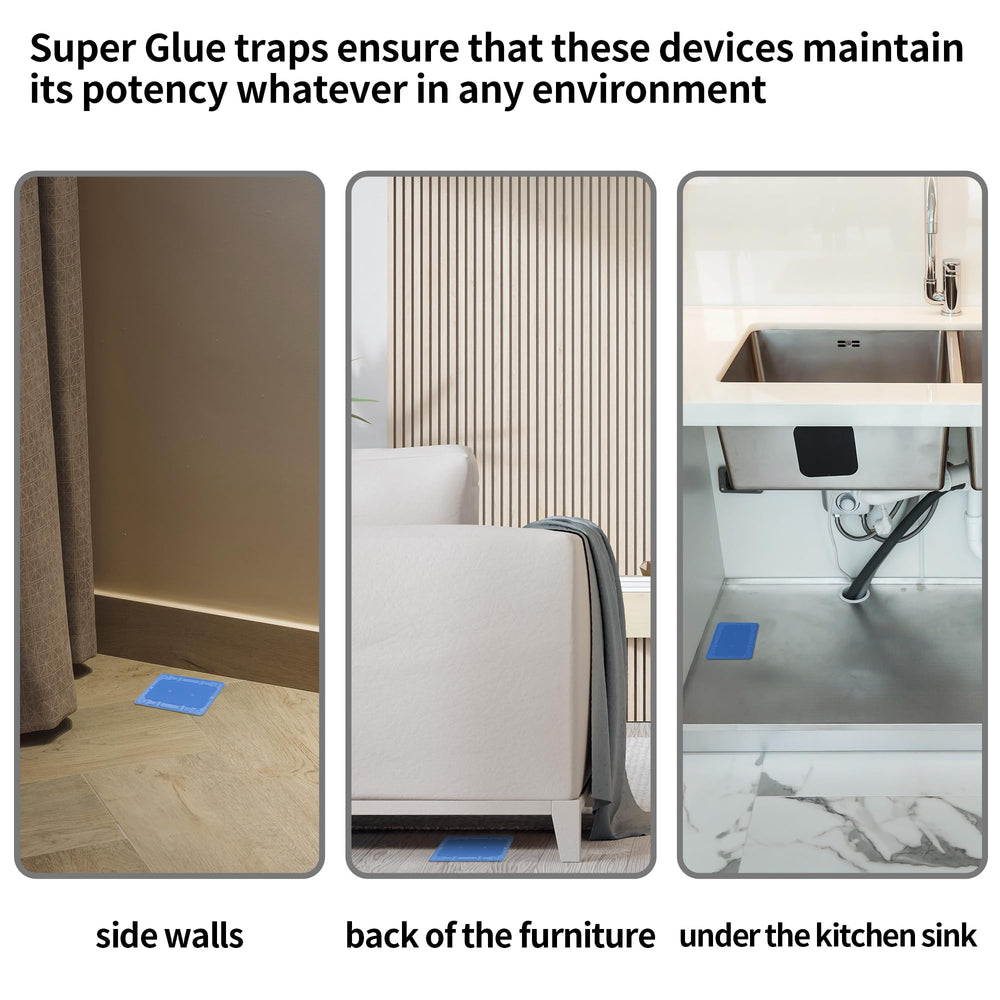 LULUCATCH glue trap wall placement sits flush for efficiency.