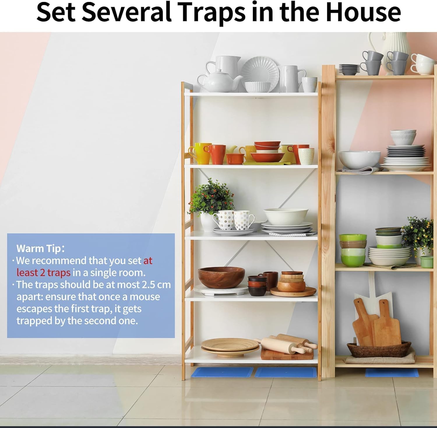 LULUCATCH indoor-use traps suitable for homes, basements, and kitchens.