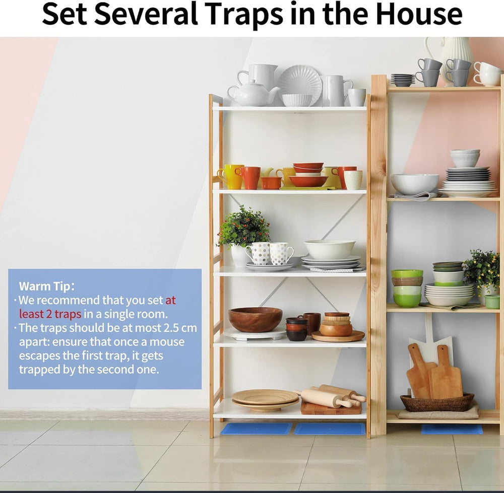 LULUCATCH indoor-use traps suitable for homes, basements, and kitchens.