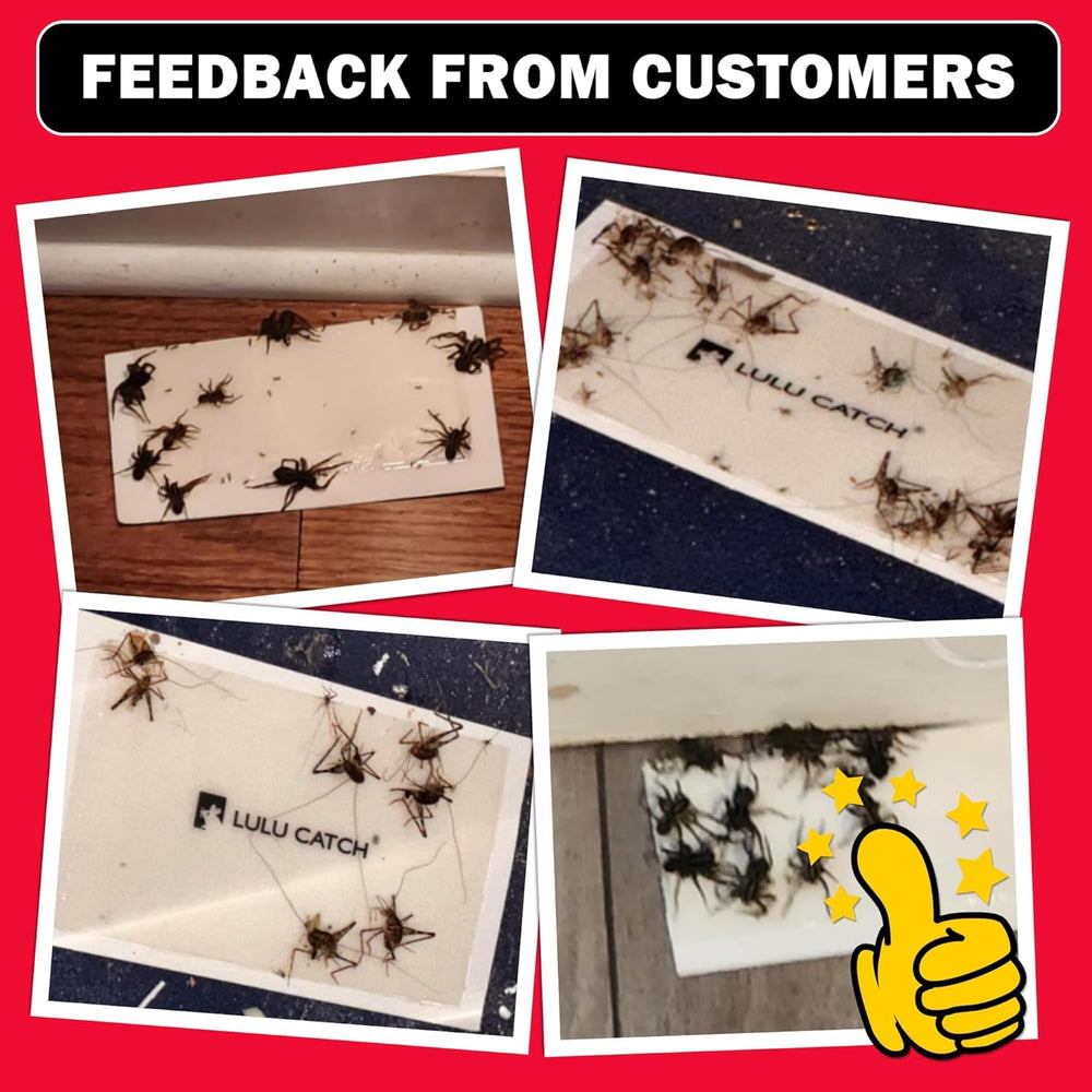 LULUCATCH attractant helps lure cockroaches, spiders, and beetles.
